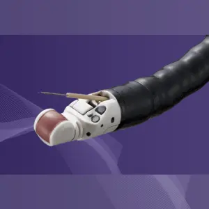 Endoscopic Ultrasound (EUS)