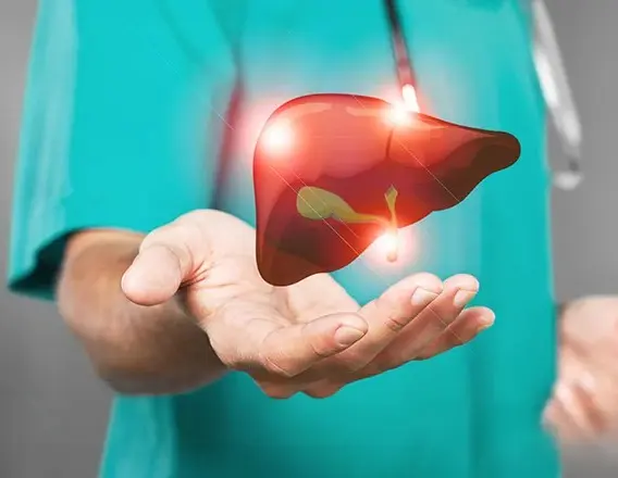 Liver Transplant